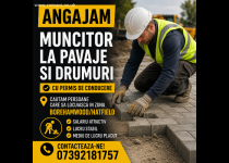 Angajam muncitor cu permis in zona Borehamwood