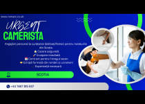 LOC DE MUNCA- CAMERISTA