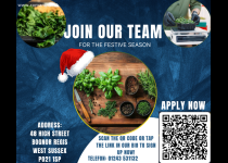 OPERATORI DE PRODUCȚIE