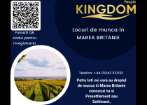 OPERATORI DE PRODUCȚIE