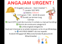 ANGAJAM URGENTTT !