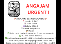 ANGAJAM URGENTTT !