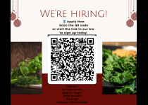 OPERATORI DE PRODUCȚIE