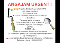 ANGAJAM URGENTTT !