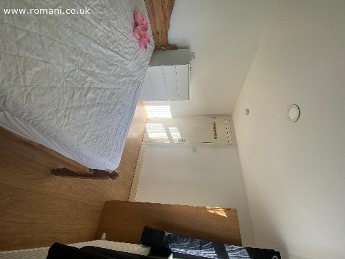 Camera double barking