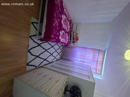 Camera Dubla In Edmonton green N9