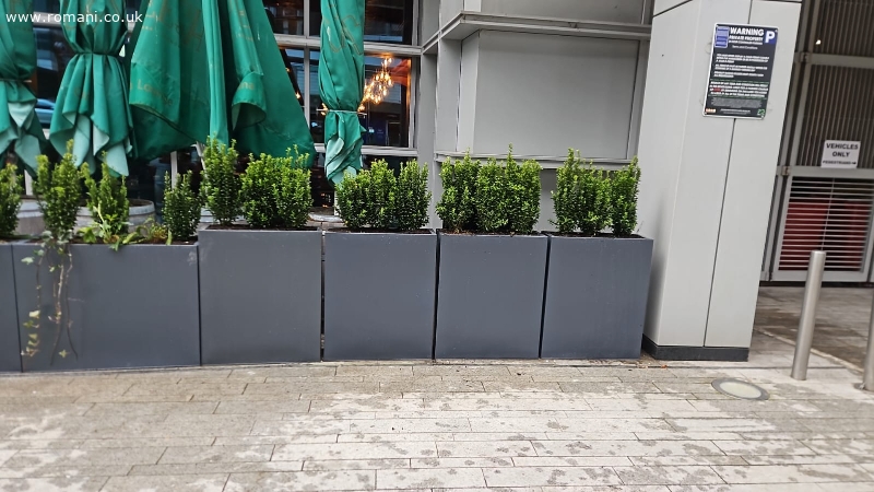 Cautam muncitori pentru landscaping