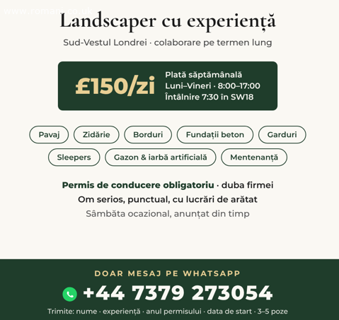 Constructor curți și grădini Sud-Vestul Londrei £150/zi