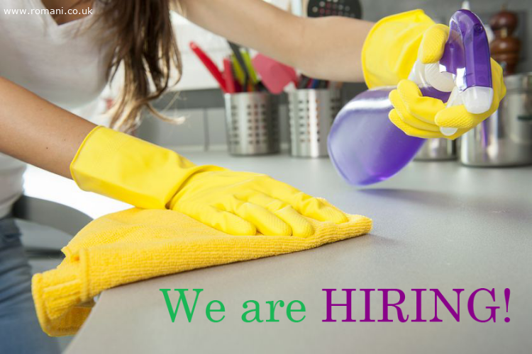 DOMESTIC CLEANERS WANTED IN BROMLEY