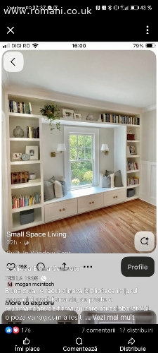 Echipa de 2 carpenteri