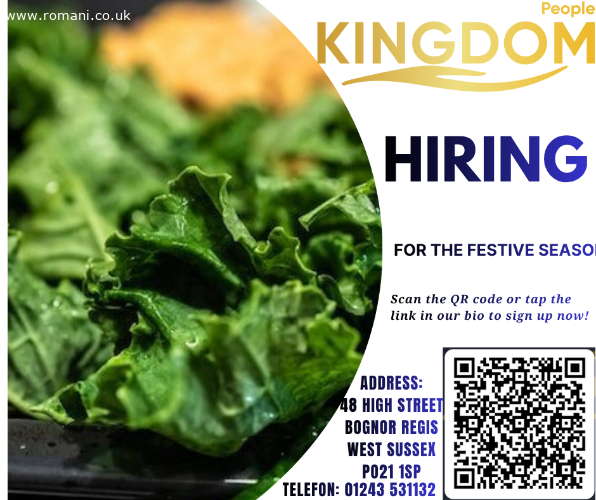 OPERATORI DE PRODUCȚIE