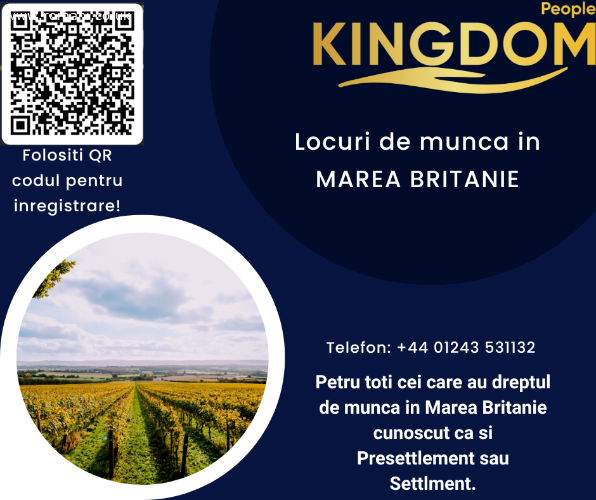 OPERATORI DE PRODUCȚIE