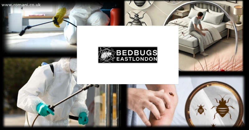 Pest control : Plosnite,gandaci, soareci