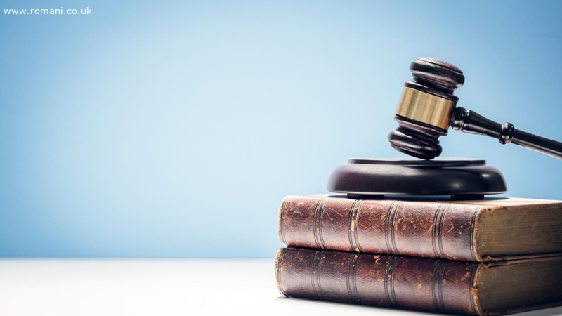 Romanian Speaking Personal Injury Litigation Support Assista