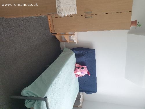 Se dau in chirie 2 camere duble(Hainault)