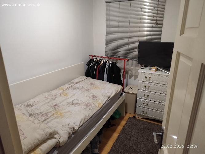 Single room for rent