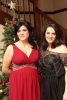 2013 - Evenimente ale comunitatii - Romanian christmas charity ball 2013