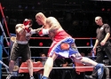 2013 - Evenimente diverse - Box catalin zmarandescu vs aran boyd