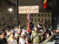 Galerii foto - 2017 - Evenimente ale comunitatii 2017 - Protest impotriva ordonantelor de urgenta londra duminica 05 02 2017