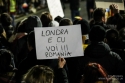 Galerii foto - 2017 - Evenimente ale comunitatii 2017 - Protest impotriva ordonantelor de urgenta londra duminica 05 02 2017