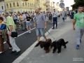 2018 - Evenimente diverse - Evenimente diverse 2018 - Protestul diasporei cluj napoca 10 august 2018