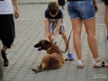 Galerii foto - Evenimente diverse 2018 - Protestul diasporei cluj napoca 10 august 2018