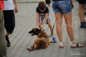 Galerii foto - 2018 - Evenimente diverse 2018 - Protestul diasporei cluj napoca 10 august 2018