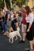 Galerii foto - Evenimente diverse 2018 - Protestul diasporei cluj napoca 10 august 2018