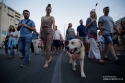 Galerii foto - Evenimente diverse 2018 - Protestul diasporei cluj napoca 10 august 2018