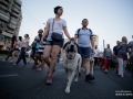 Galerii foto - 2018 - Evenimente diverse 2018 - Protestul diasporei cluj napoca 10 august 2018