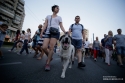 Galerii foto - Evenimente diverse 2018 - Protestul diasporei cluj napoca 10 august 2018