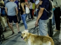 2018 - Evenimente diverse 2018 - Protestul diasporei cluj napoca 10 august 2018