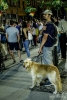 Galerii foto - 2018 - Evenimente diverse 2018 - Protestul diasporei cluj napoca 10 august 2018