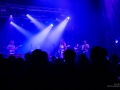 2019 - Evenimente culturale - Concert fanfara ciocarlia si taraf de impex electric brixton londra