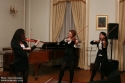 2009 - Evenimente culturale 2009 - Cvartetul de viori electrice hypnotique
